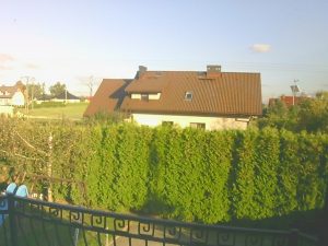 Aparat dla dzieci ? | AMKOV CDFP 5Mpx 1080p 156 SUNP0002