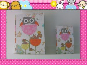 Aparat dla dzieci ? | AMKOV CDFP 5Mpx 1080p 146 SUNP0011