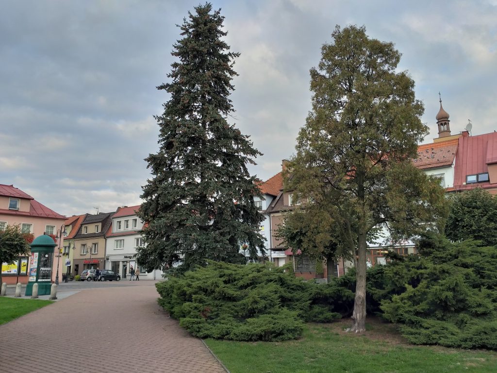 Czy średnia półka może być fajna? - Samsung Galaxy A6+ 50 20181003 084548