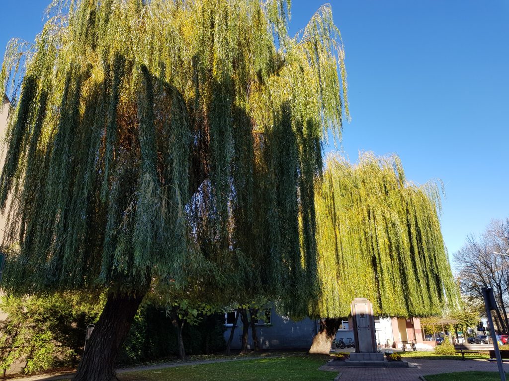 Samsung Galaxy Note 9! 94 20181031 090359 e1542563040425