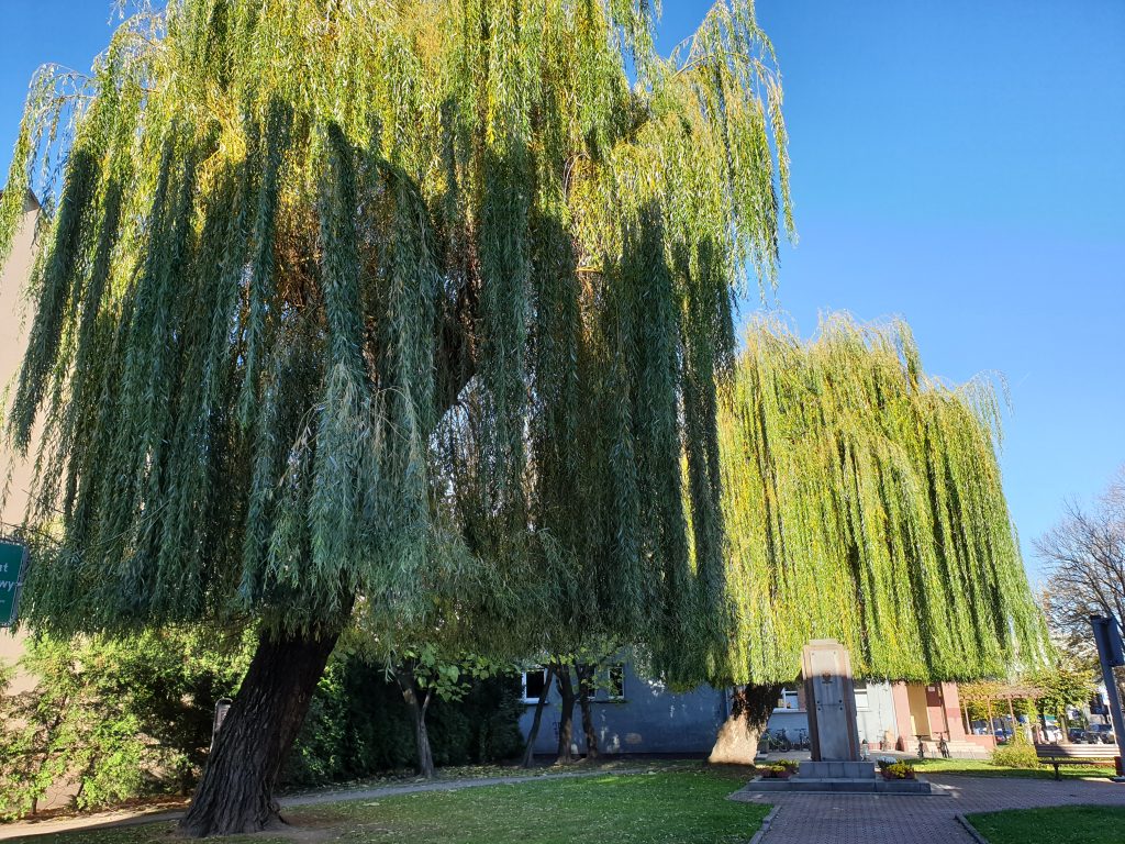 Samsung Galaxy Note 9! 96 20181031 090403