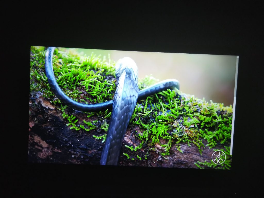 Laptop, a może jednak ultrabook? | HUAWEI MateBook D 15.6 118 IMG 20181104 175300