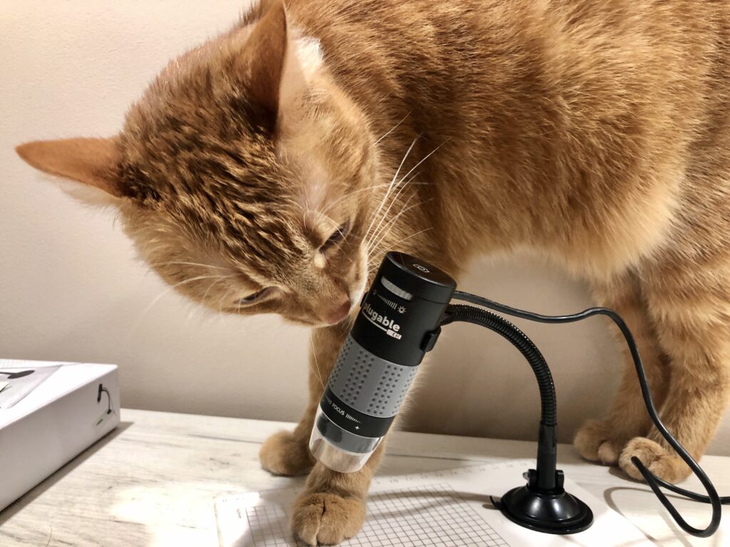 Plugable Digital Microscope USB 2.0 36 IMG 2117