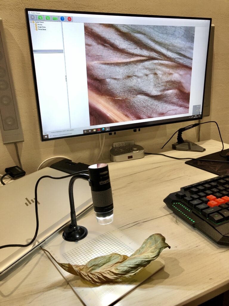 Plugable Digital Microscope USB 2.0 44 IMG 2128 scaled