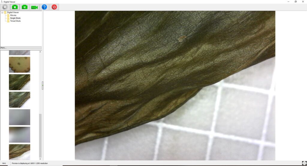 Plugable Digital Microscope USB 2.0 38 Przechwytywanie