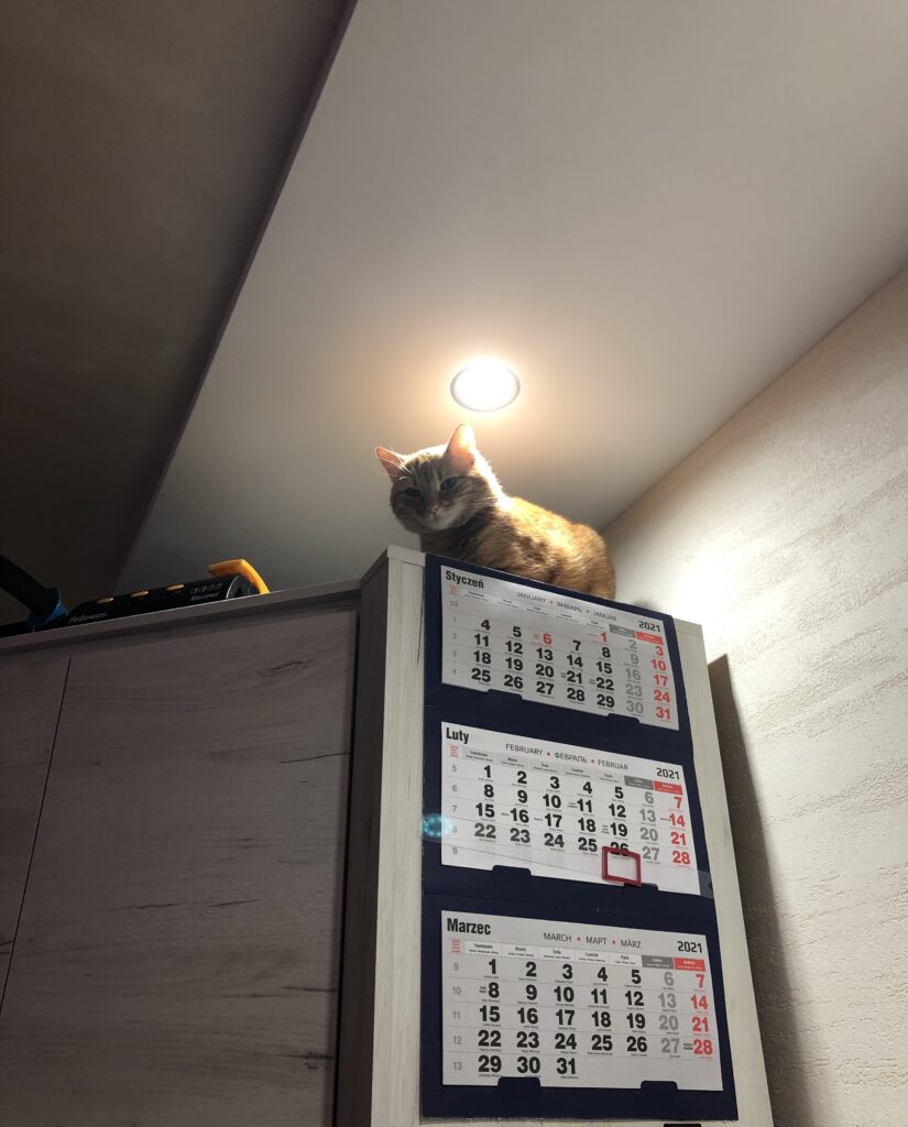 Genesis Irid 515 ARGB 68 IMG 6398