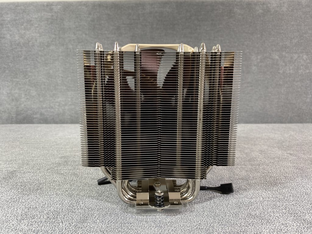 IMG 8700photo scaled