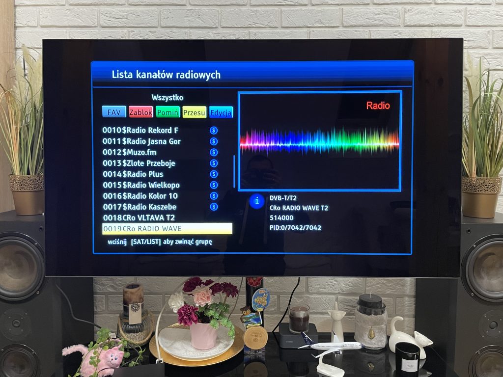 Tuner DVB-T2 Ferguson Ariva 175 Combo 96 IMG 1230 scaled