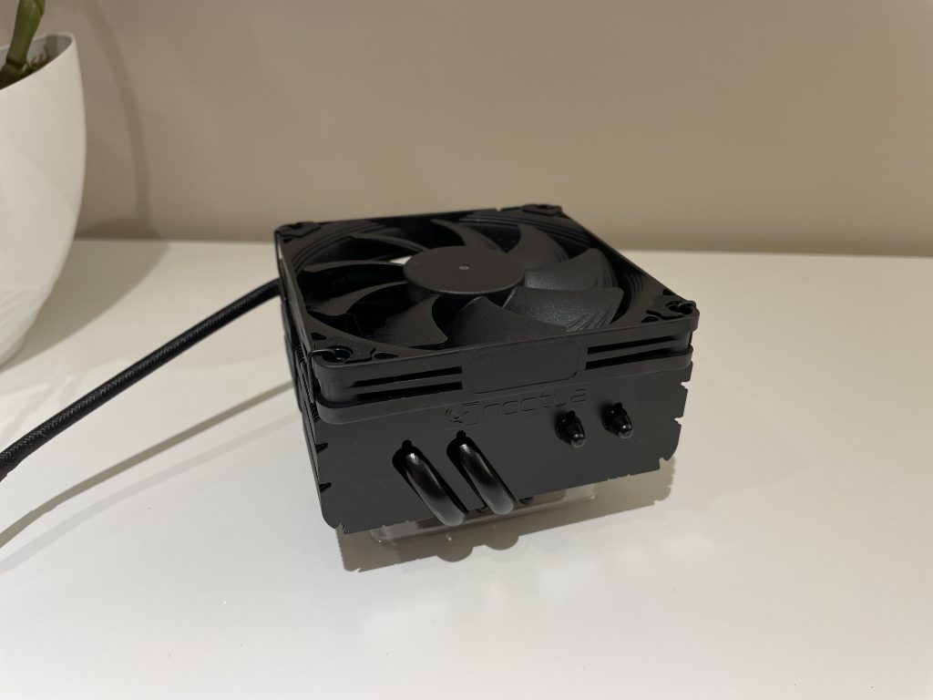 Mała Noctua w czarnym wydaniu 84 IMG 5525 scaled