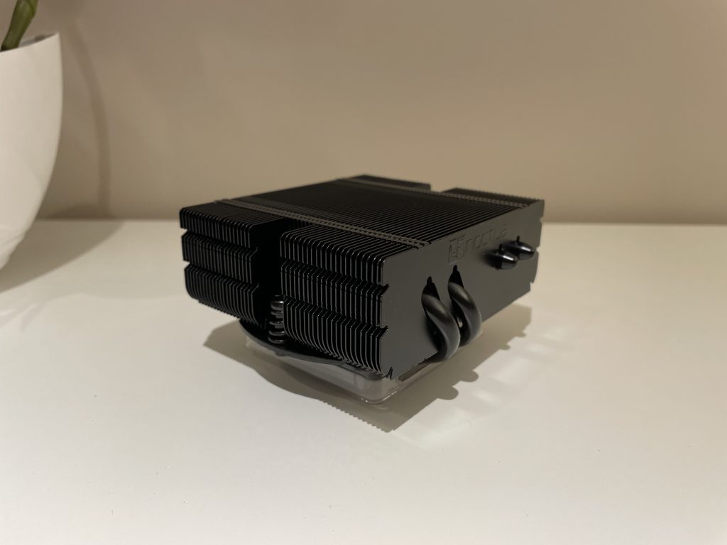 Mała Noctua w czarnym wydaniu 44 IMG 5530 scaled