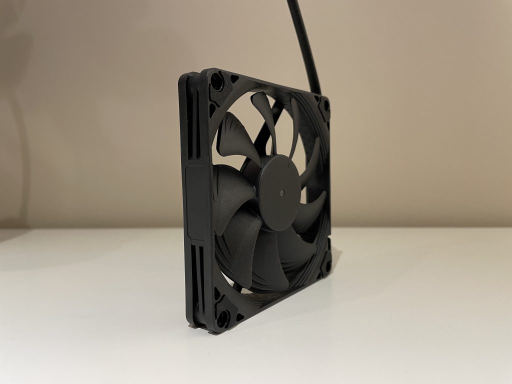 Mała Noctua w czarnym wydaniu 62 IMG 5542 scaled