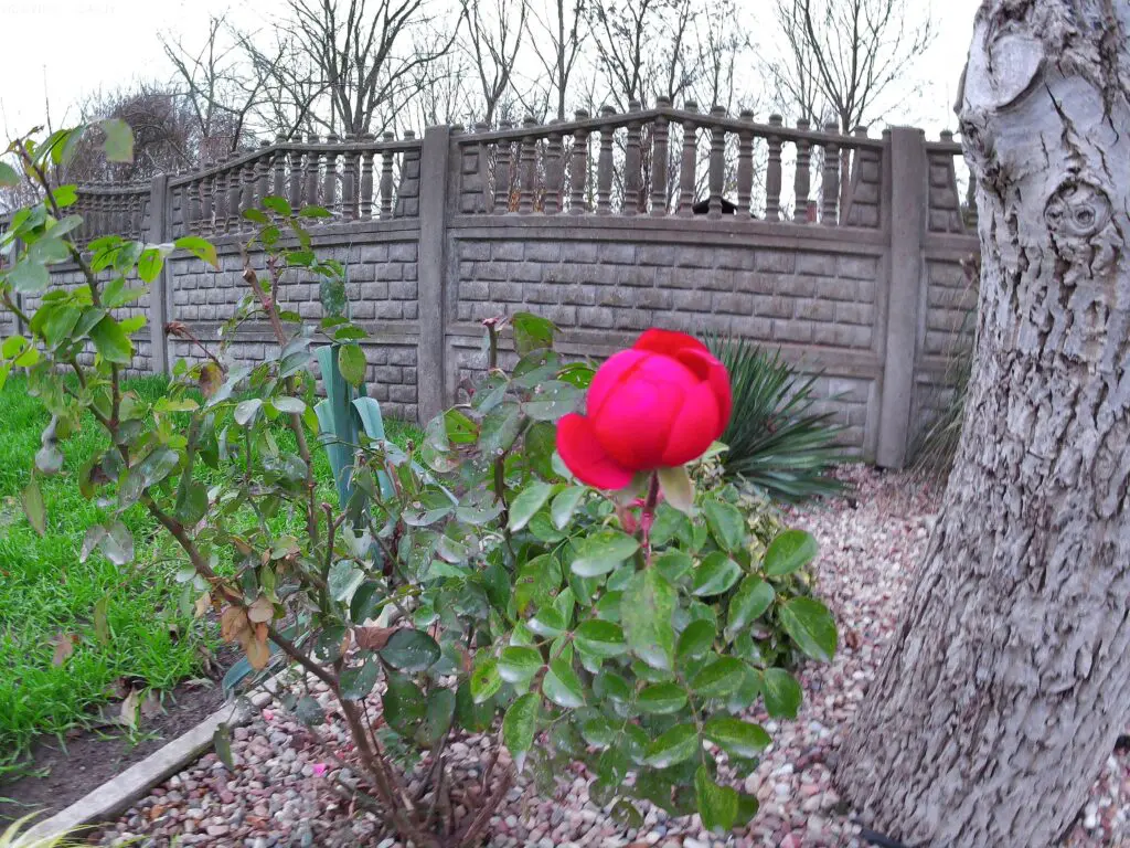 Lamax X5.2 – kamerka sportowa z masą akcesoriów 56 zdjęcie z kamerki