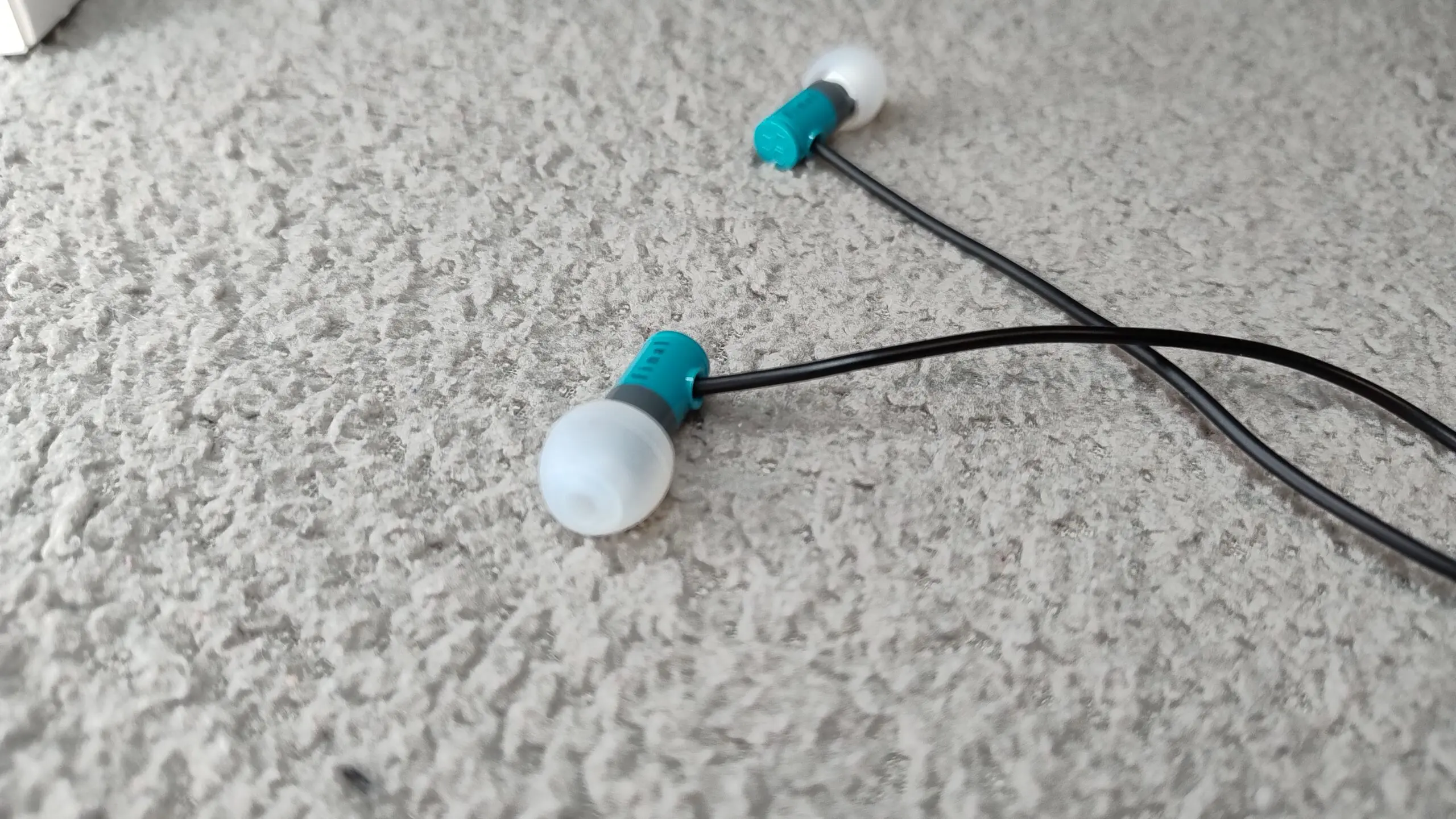 IMG 20250326 163748484 scaled