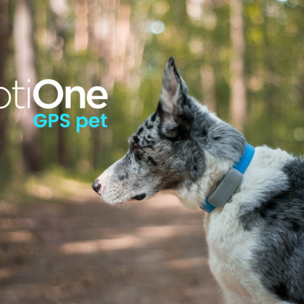 notiOne GPS Pet - Nowy lokalizator GPS dla psów i kotów – bez abonamentu i dodatkowych opłat 28 Notionegpspet 0