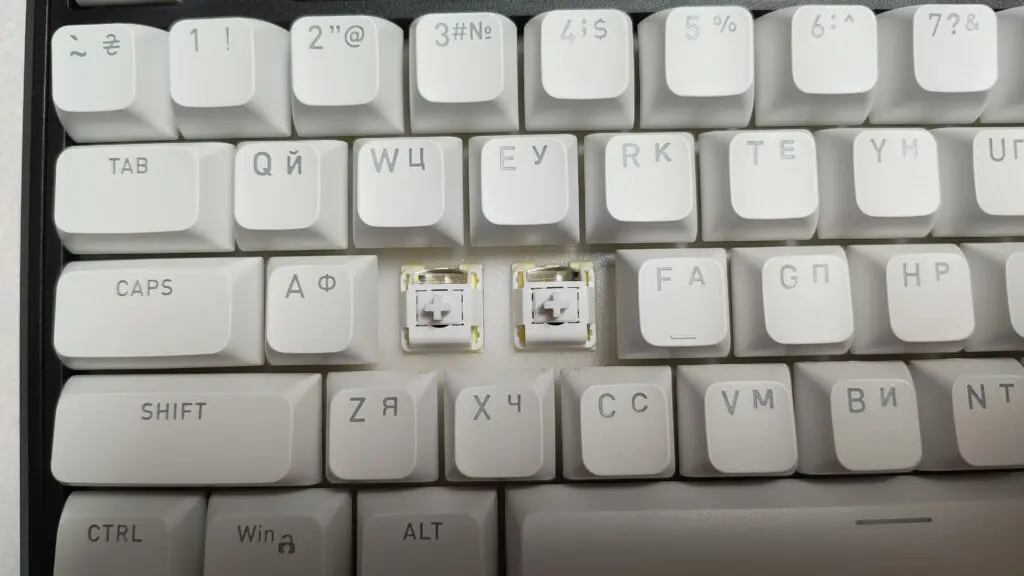 IMG 20251026 113226383