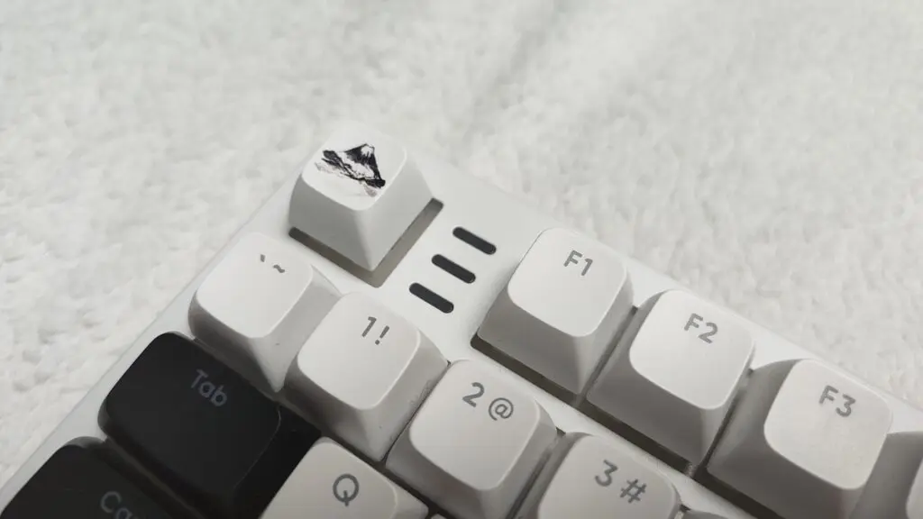 IMG 20260115 120704374