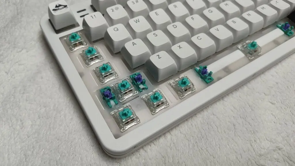 IMG 20260115 121215329