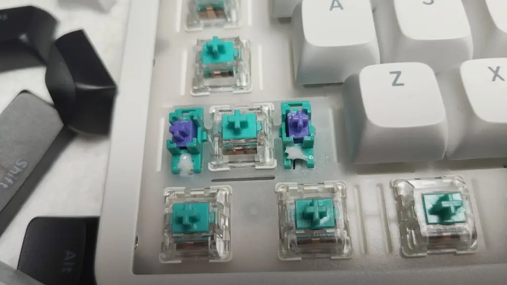 IMG 20260115 121313432