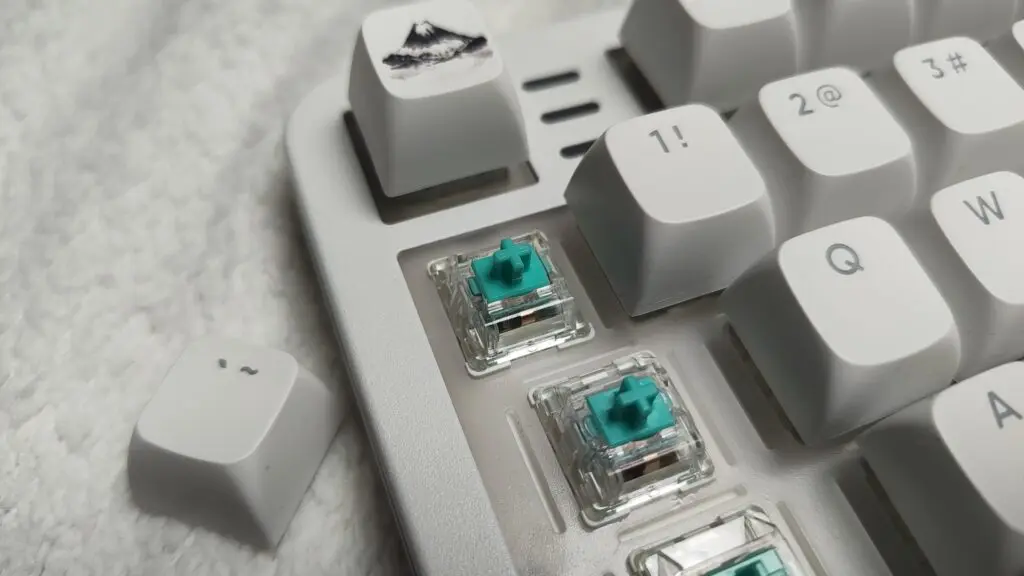 IMG 20260115 121336820