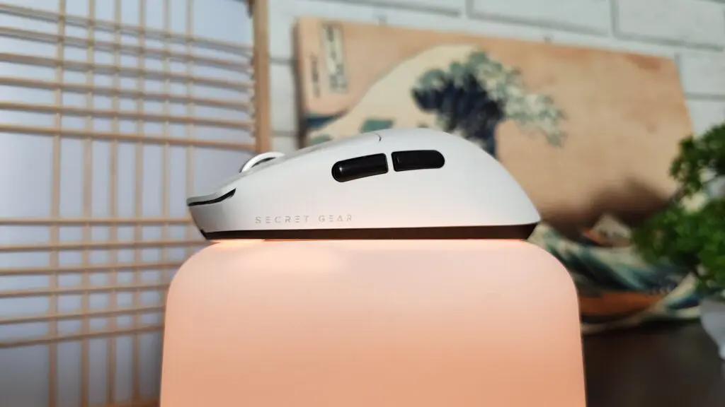 IMG 20260212 122941964