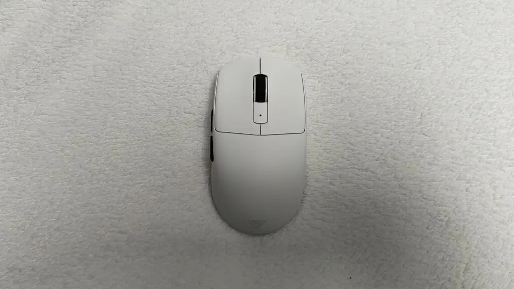 IMG 20260212 123229490