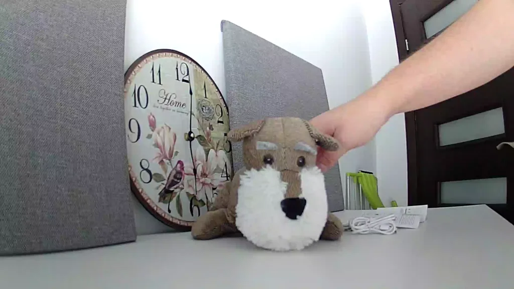 Domowa kamera ze śledzeniem ruchu | SECTEC Cloud WiFi Camera 88 2018 10 13 11 11 37 439