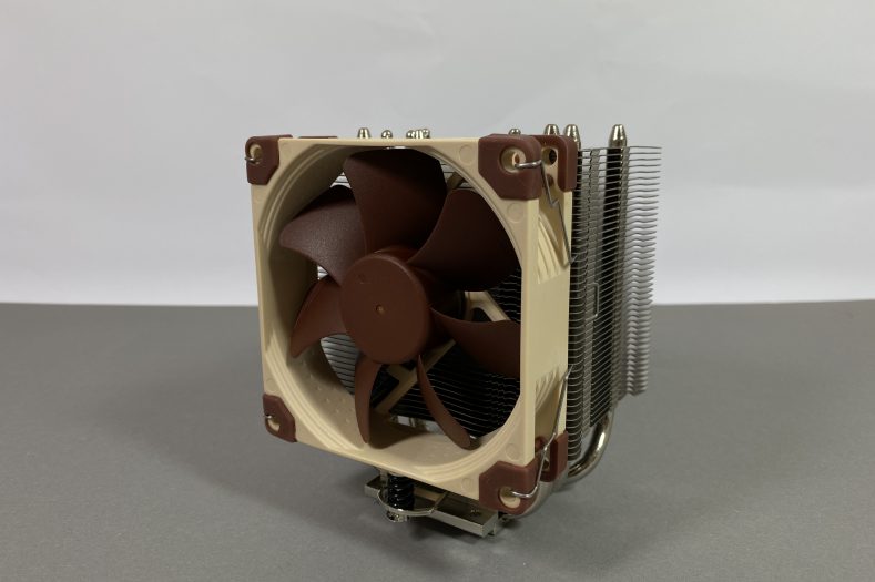 IMG 6252photo scaled