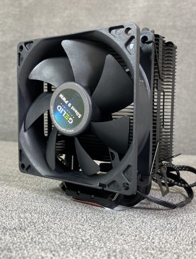 IMG 9831photo scaled