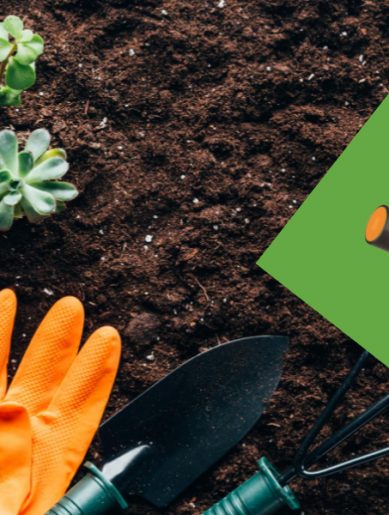 COPY COPY Woox artykul bezpieczny dom 1000x600 px