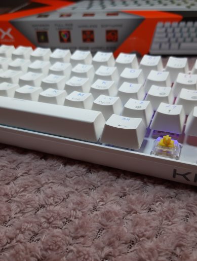 20230408 120229 scaled