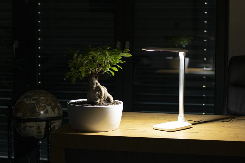 wielofunkcyjna lampa montis