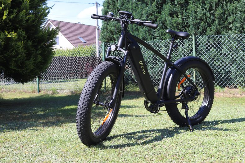 Poznaj DYU King 750 - Elektryczny Rower dla Wymagających 21 IMG 2897 scaled