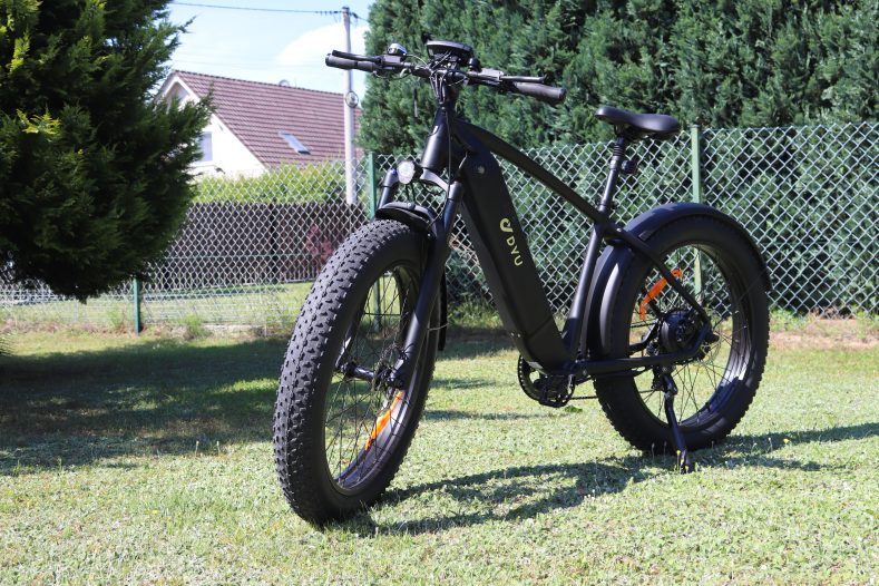 Poznaj DYU King 750 – Elektryczny Rower dla Wymagających