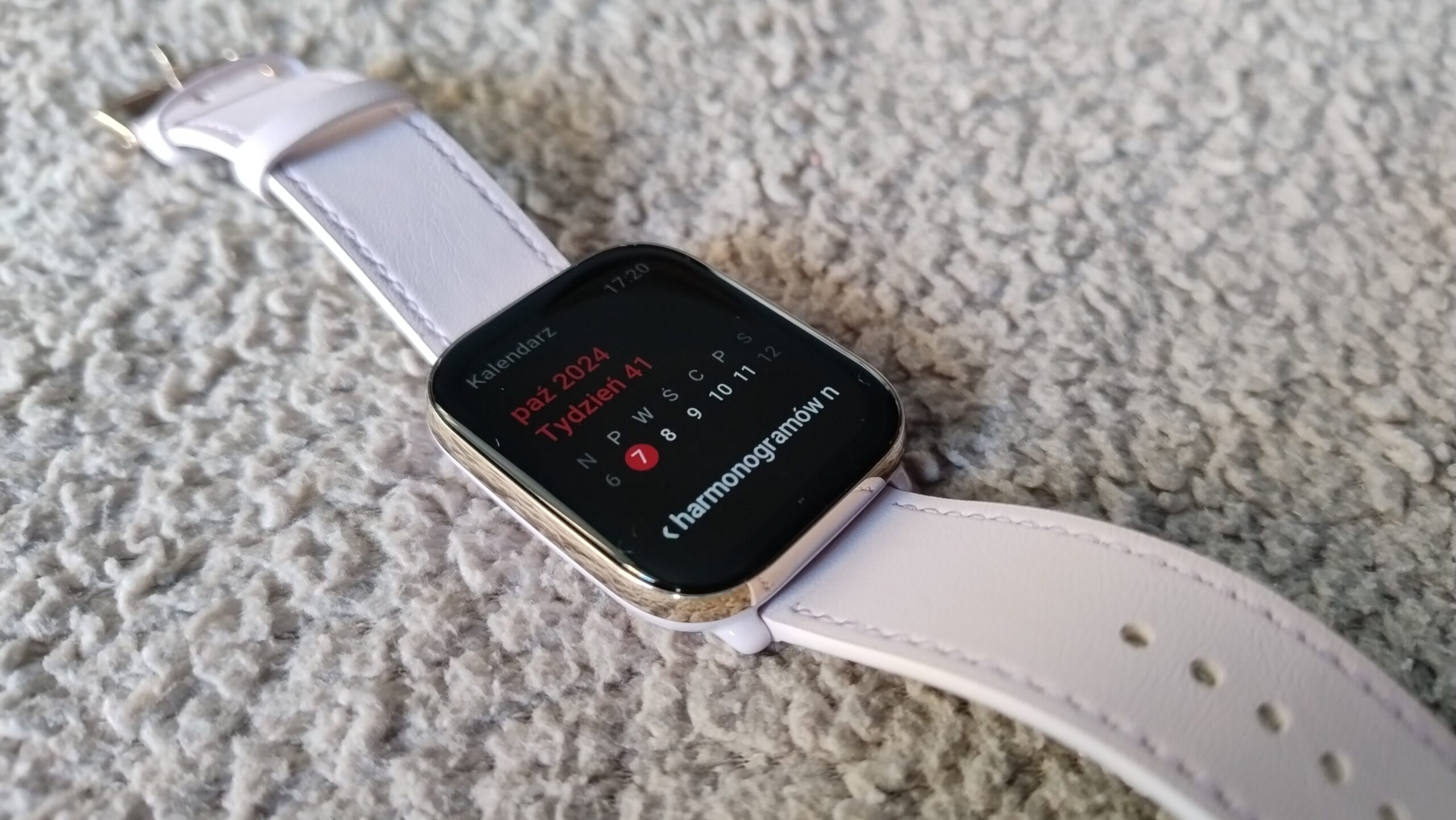 Wyświetlacz Amazfit Active