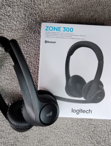 Logitech Zone 300