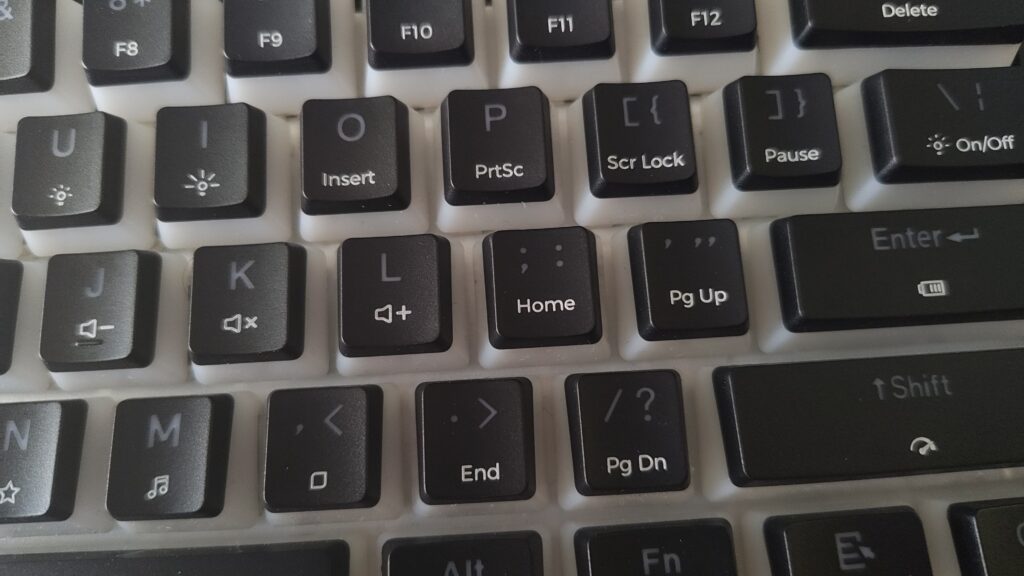 1000004168