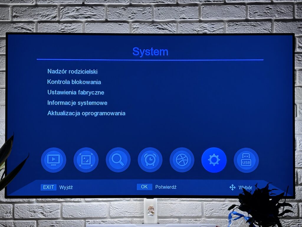 Tuner DVB-T2 Ferguson Ariva T45 87 IMG 4410