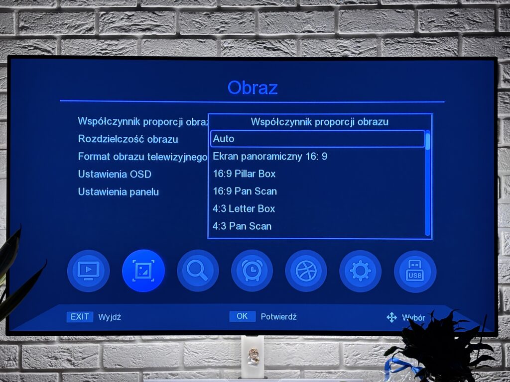 Tuner DVB-T2 Ferguson Ariva T45 73 IMG 4412