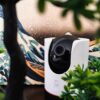 TP-Link Tapo C225