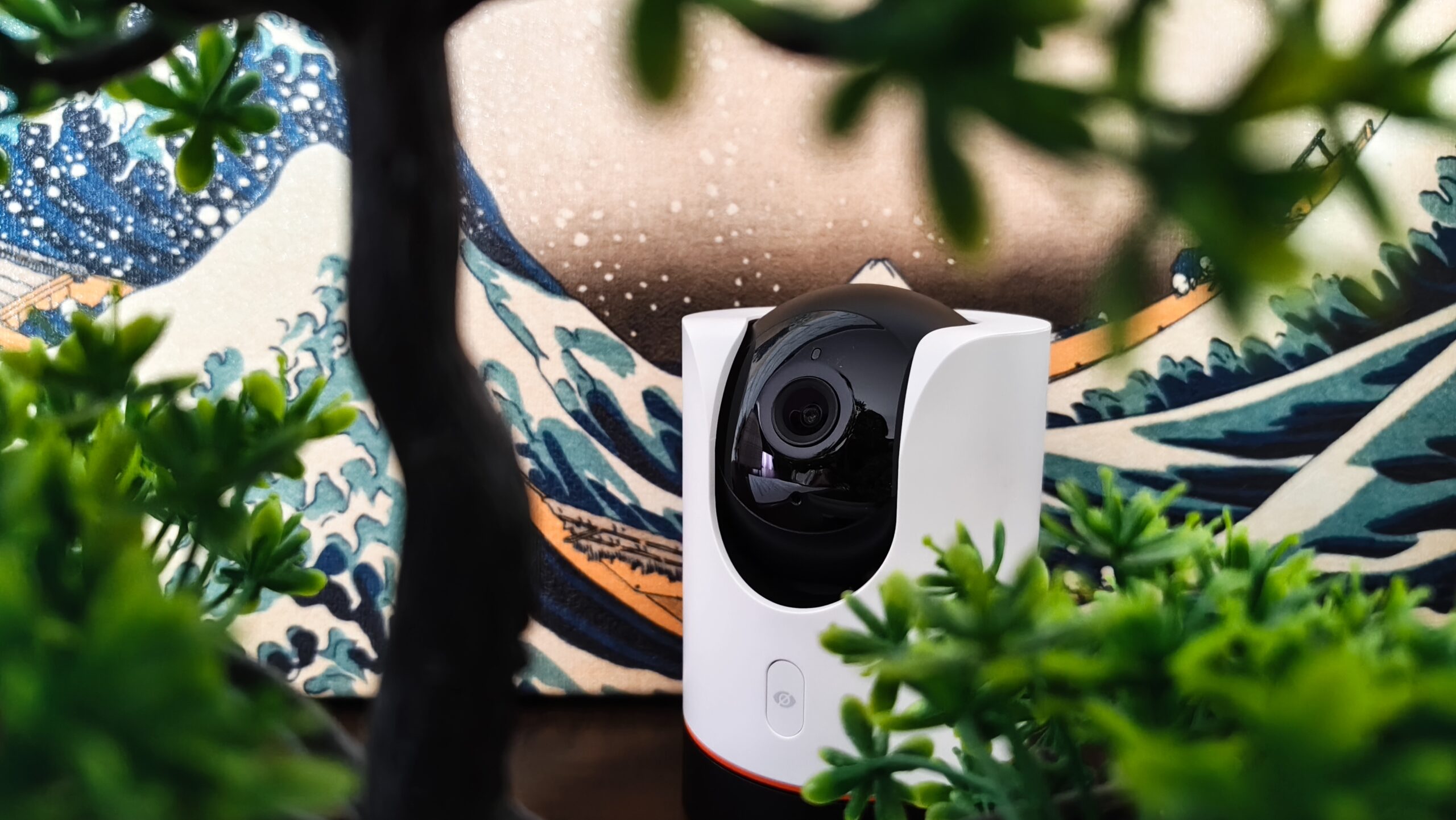 TP-Link Tapo C225 – obrotowa kamera z nadzwyczajnie dobrym obrazem nocnym