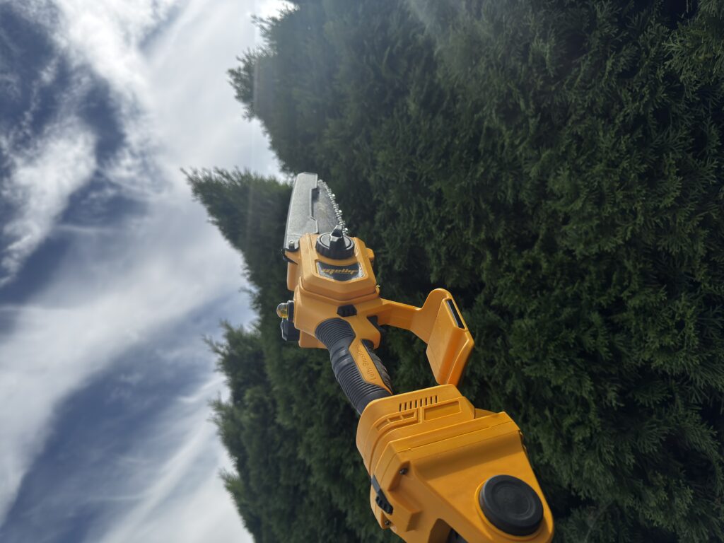 Gałęzie bez drabiny? Test Mellif 2-in-1 Electric Pole Saw. Ta mała piła naprawdę daje radę 12 IMG 7313