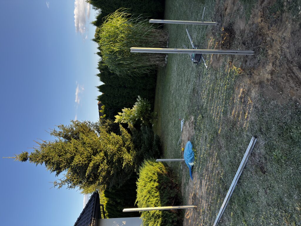 IMG 7335